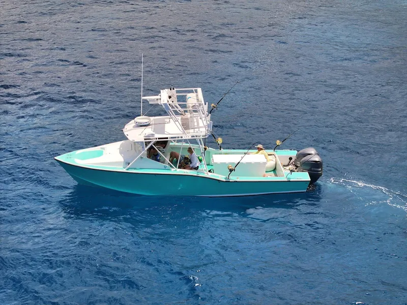 Slide: The Image of Aerial view of 2018 Custom Ocean Master boat on blue ocean waters. - 6