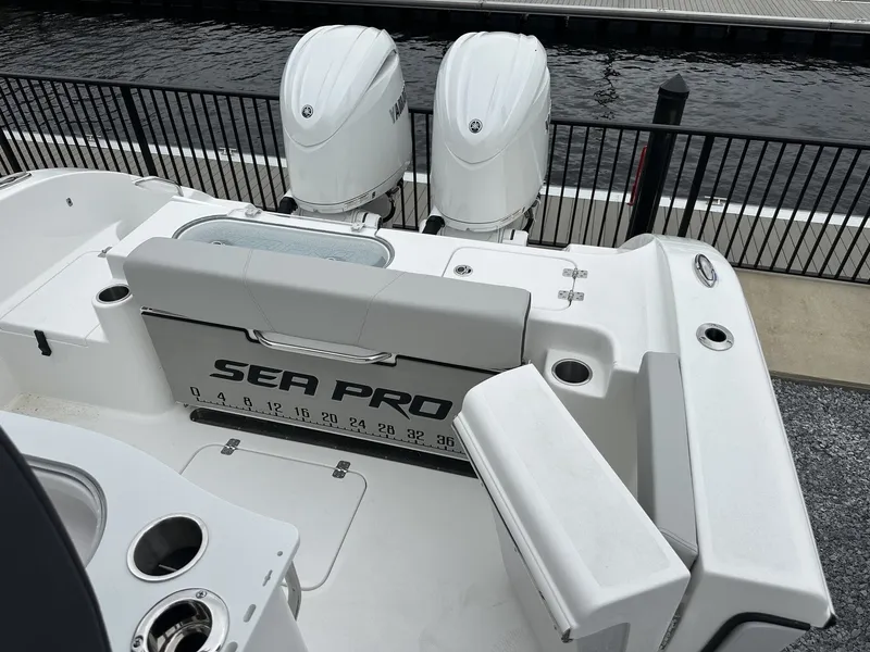 Slide: The Image of Sea Pro 262 DLX 2025 - 14