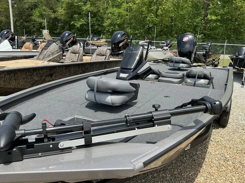 Slide: The Image of Lowe Stinger 195 2025 - 3