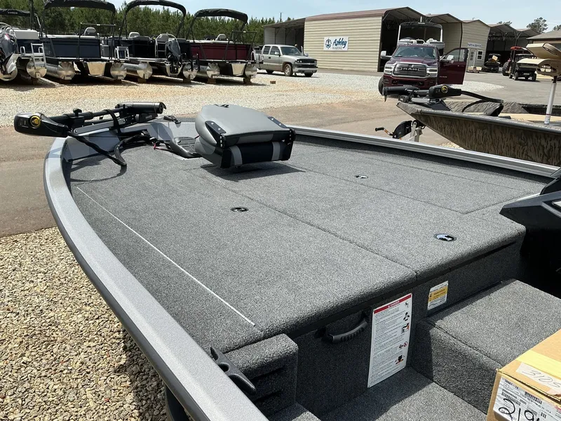 Slide: The Image of Lowe Stinger 195 2025 - 9