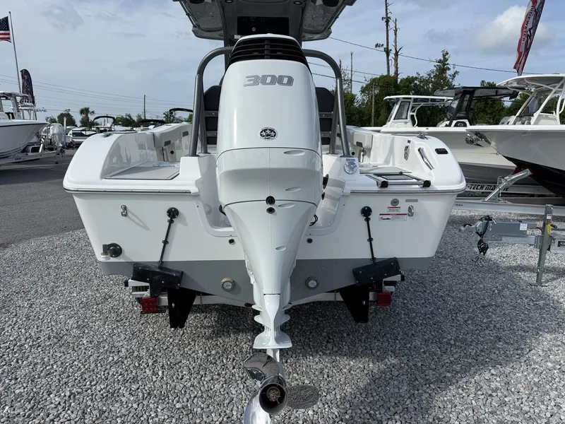 Slide: The Image of Sea Pro 245 245 SANDBAR 2025 - 3