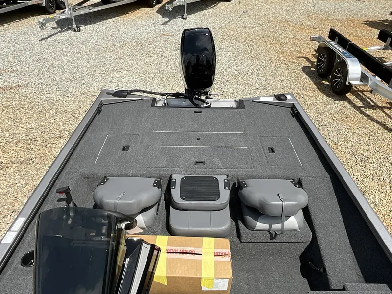 Slide: The Image of Lowe Stinger ST175 2025 - 6