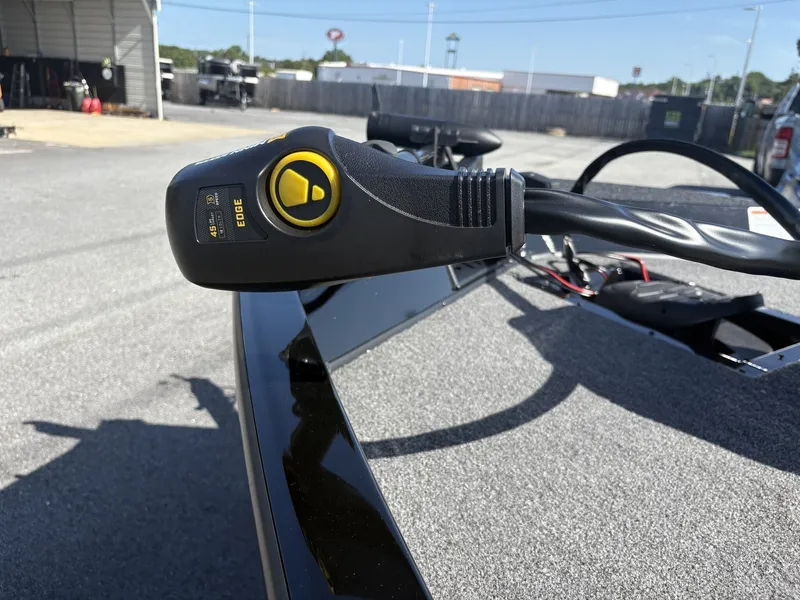 Slide: The Image of Lowe Stinger 175 2025 - 6