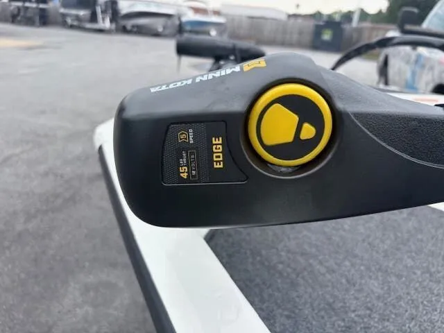 Slide: The Image of Lowe Stinger ST175 2025 - 6