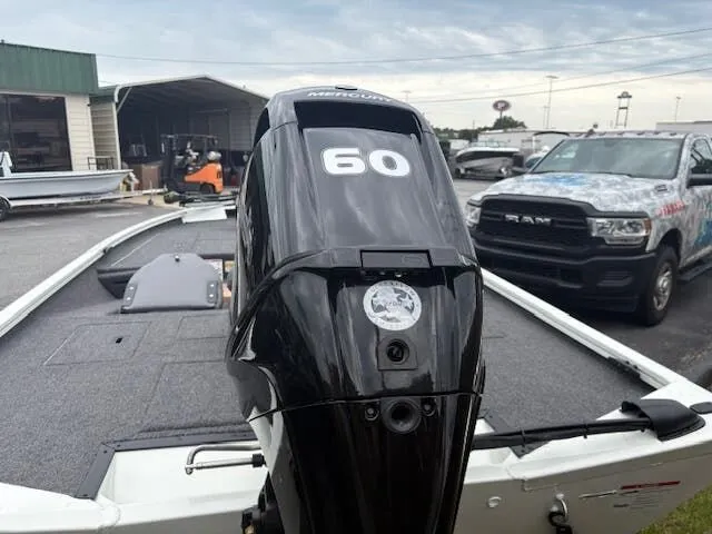 Slide: The Image of Lowe Stinger 175 2025 - 7