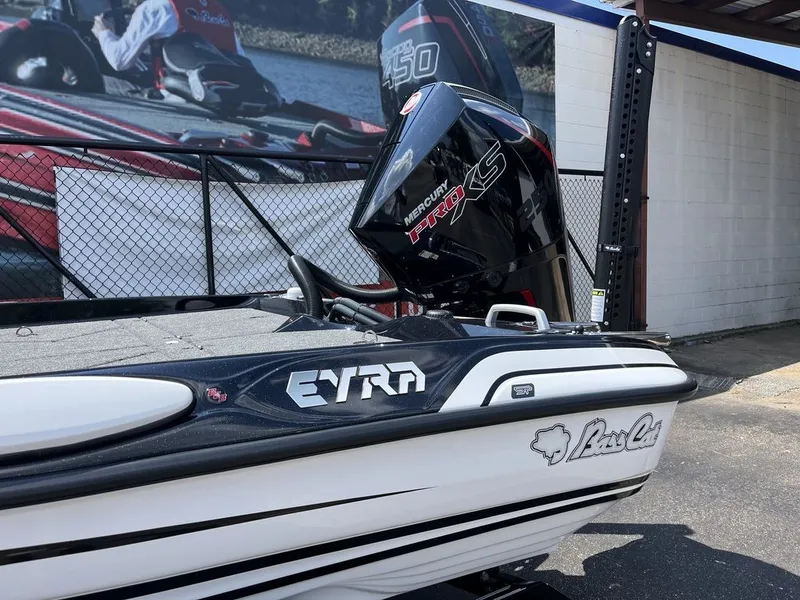 Slide: The Image of Bass Cat Eyra SP 2026 - 10