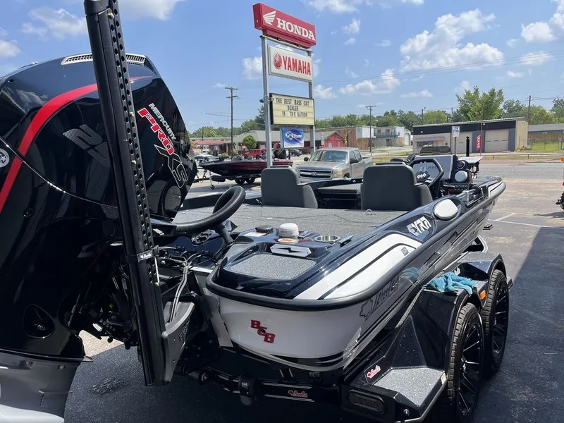 Slide: The Image of Bass Cat Eyra SP 2026 - 11