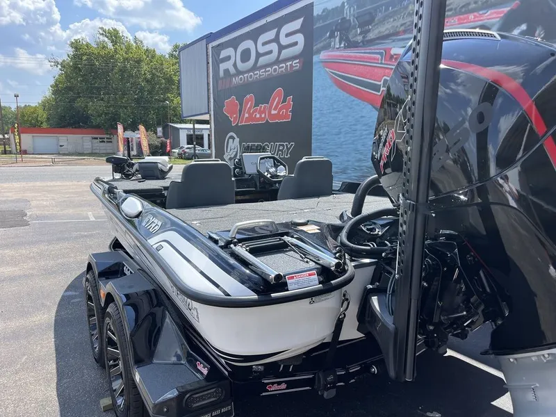 Slide: The Image of Bass Cat Eyra SP 2026 - 12