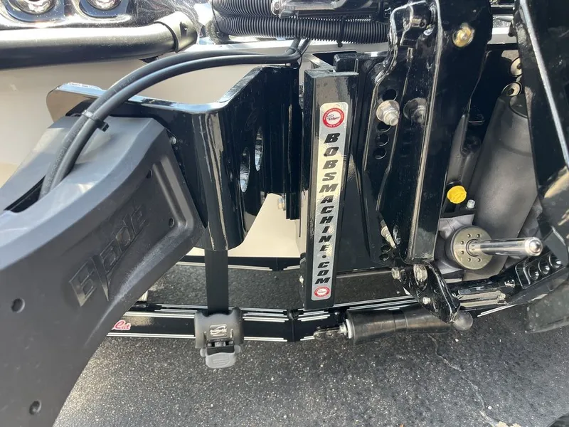 Slide: The Image of Bass Cat Eyra SP 2026 - 15