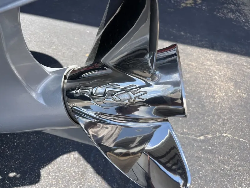 Slide: The Image of Bass Cat Eyra SP 2026 - 16