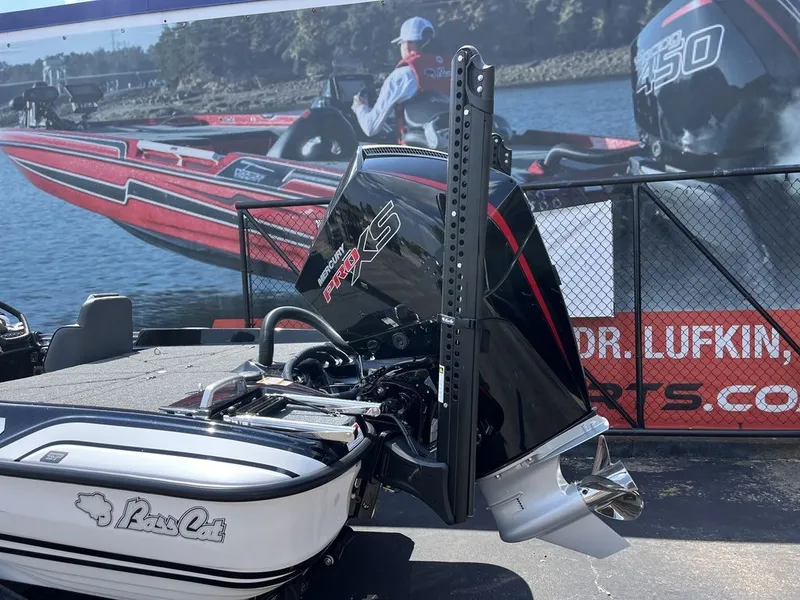 Slide: The Image of Bass Cat Eyra SP 2026 - 17