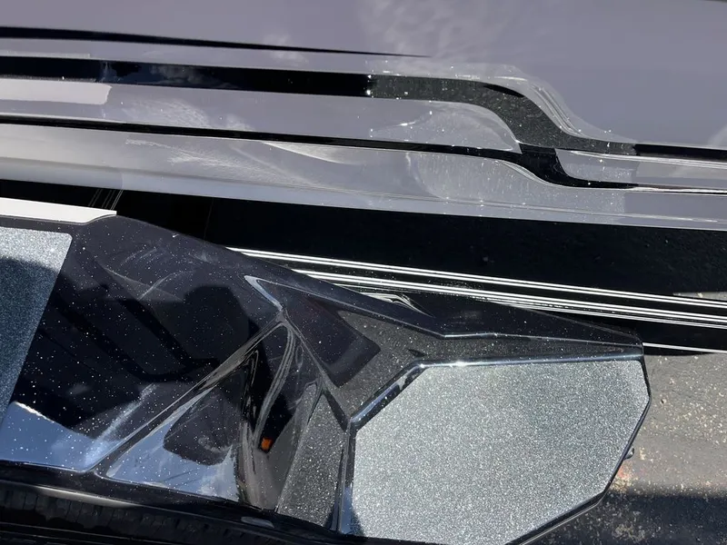 Slide: The Image of Bass Cat Eyra SP 2026 - 20