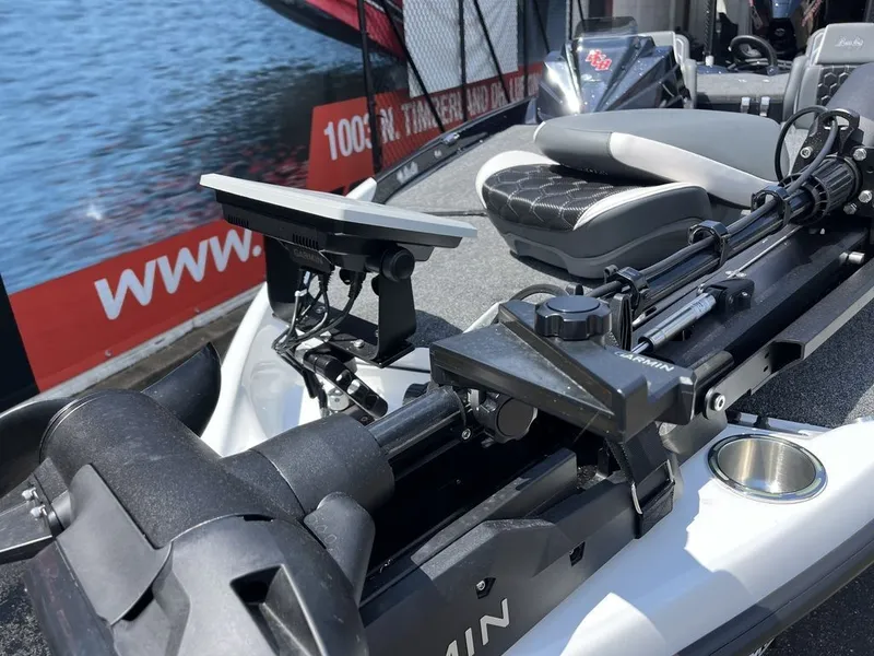 Slide: The Image of Bass Cat Eyra SP 2026 - 23