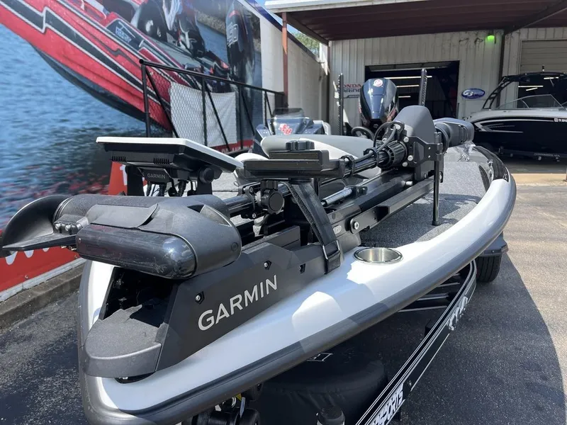 Slide: The Image of Bass Cat Eyra SP 2026 - 24