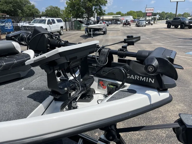 Slide: The Image of Bass Cat Eyra SP 2026 - 25