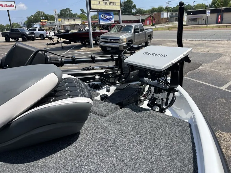 Slide: The Image of Bass Cat Eyra SP 2026 - 26