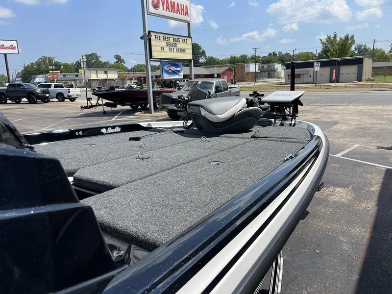 Slide: The Image of Bass Cat Eyra SP 2026 - 27