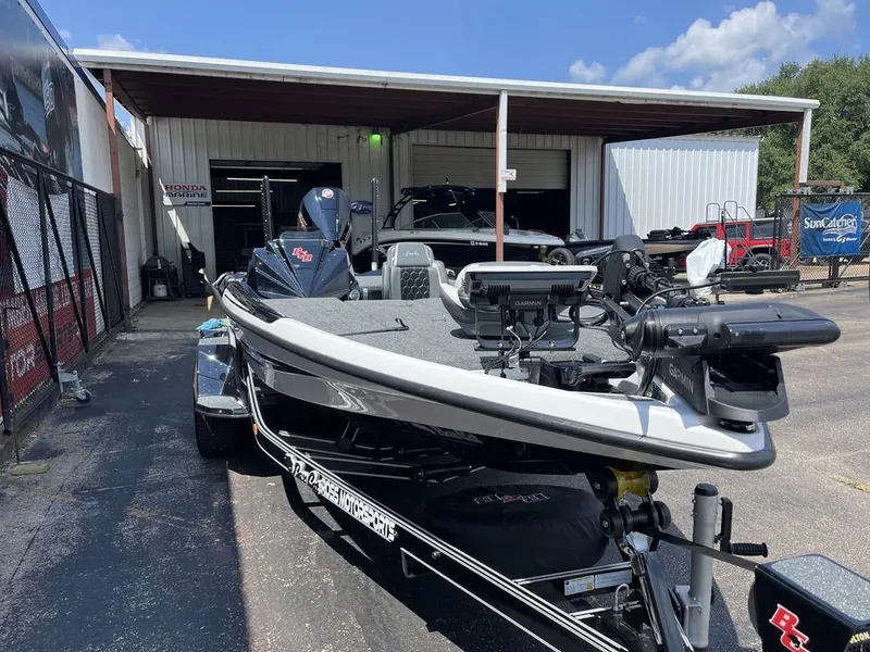 Slide: The Image of Bass Cat Eyra SP 2026 - 3