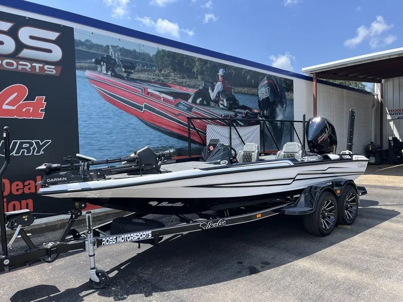 Slide: The Image of Bass Cat Eyra SP 2026 - 5