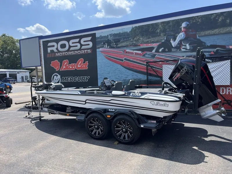 Slide: The Image of Bass Cat Eyra SP 2026 - 6