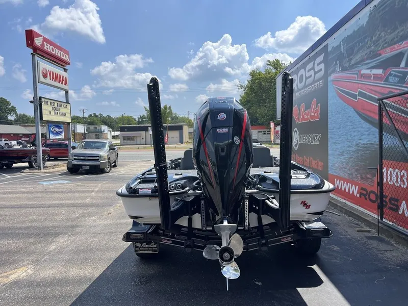 Slide: The Image of Bass Cat Eyra SP 2026 - 8