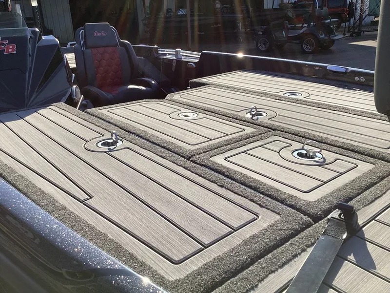 Slide: The Image of Bass Cat Eyra SP 2026 - 10