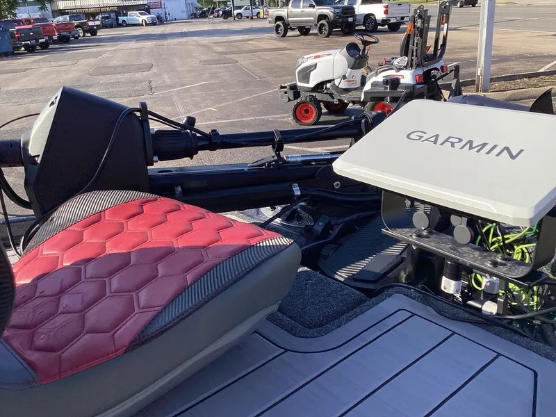 Slide: The Image of Bass Cat Eyra SP 2026 - 11