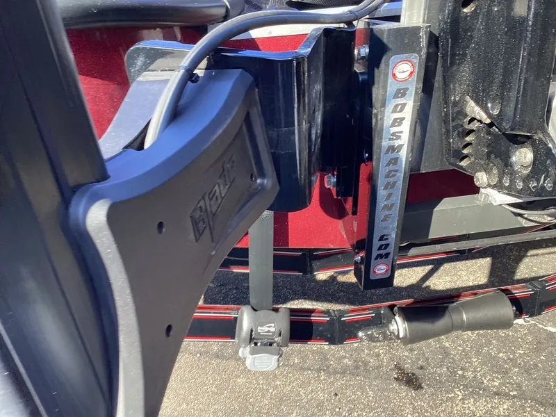 Slide: The Image of Bass Cat Eyra SP 2026 - 13