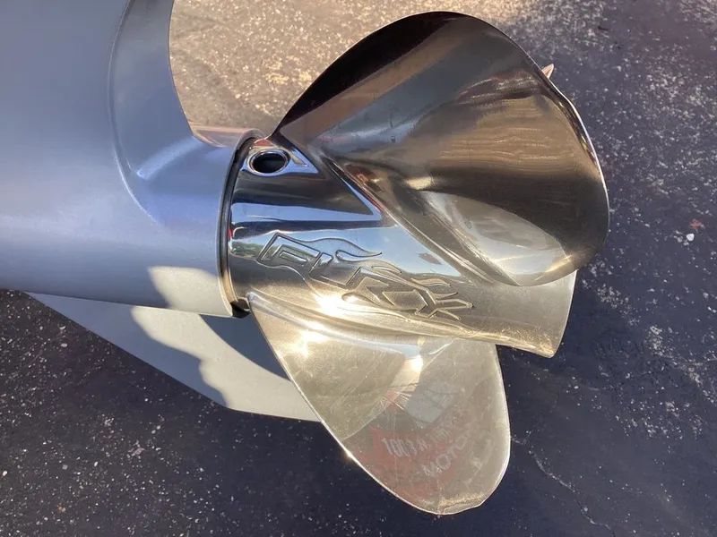 Slide: The Image of Bass Cat Eyra SP 2026 - 14