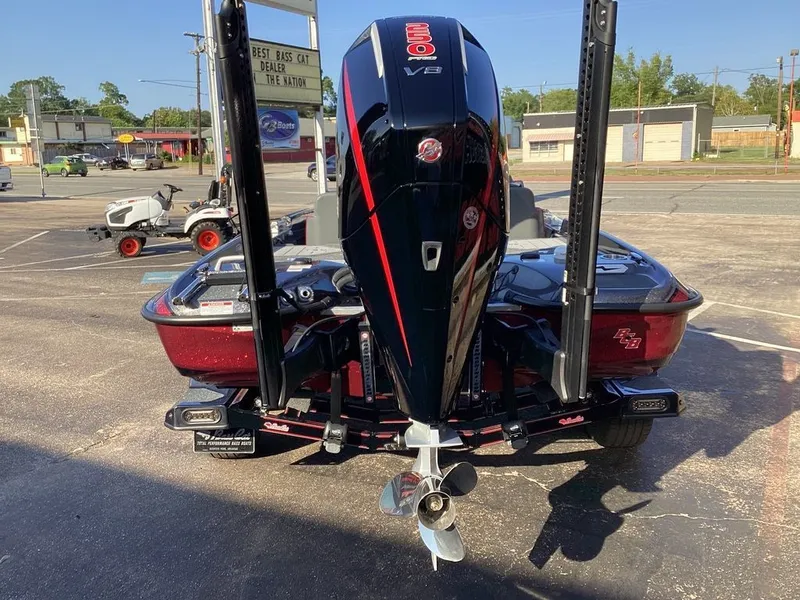 Slide: The Image of Bass Cat Eyra SP 2026 - 15