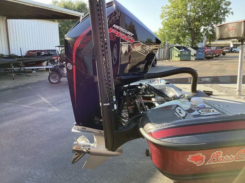 Slide: The Image of Bass Cat Eyra SP 2026 - 16