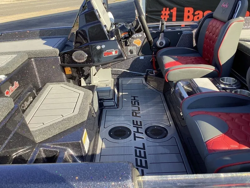 Slide: The Image of Bass Cat Eyra SP 2026 - 17