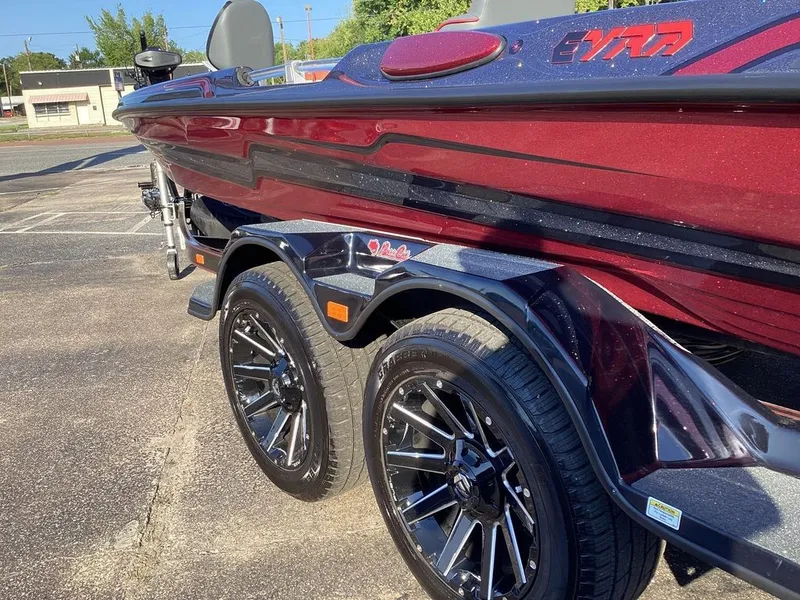 Slide: The Image of Bass Cat Eyra SP 2026 - 20