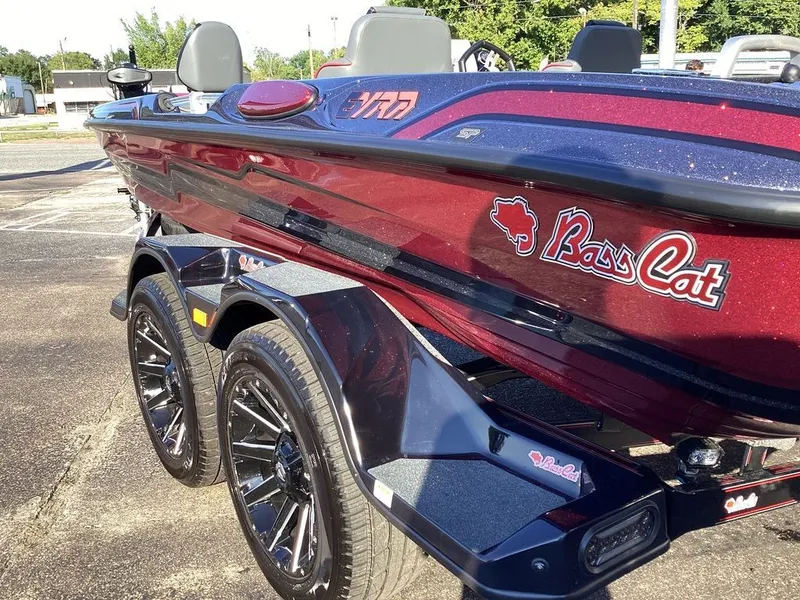 Slide: The Image of Bass Cat Eyra SP 2026 - 21