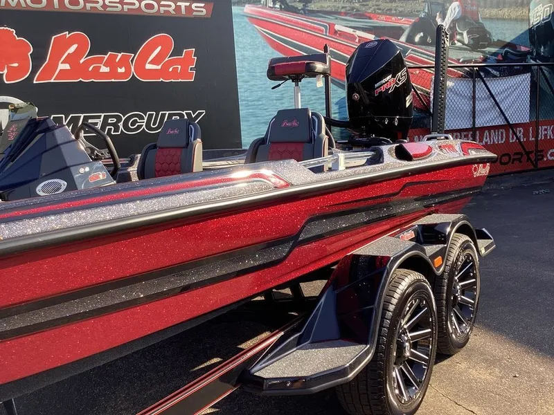 Slide: The Image of Bass Cat Eyra SP 2026 - 23