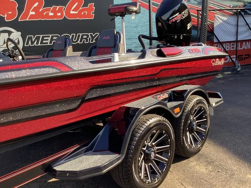 Slide: The Image of Bass Cat Eyra SP 2026 - 24