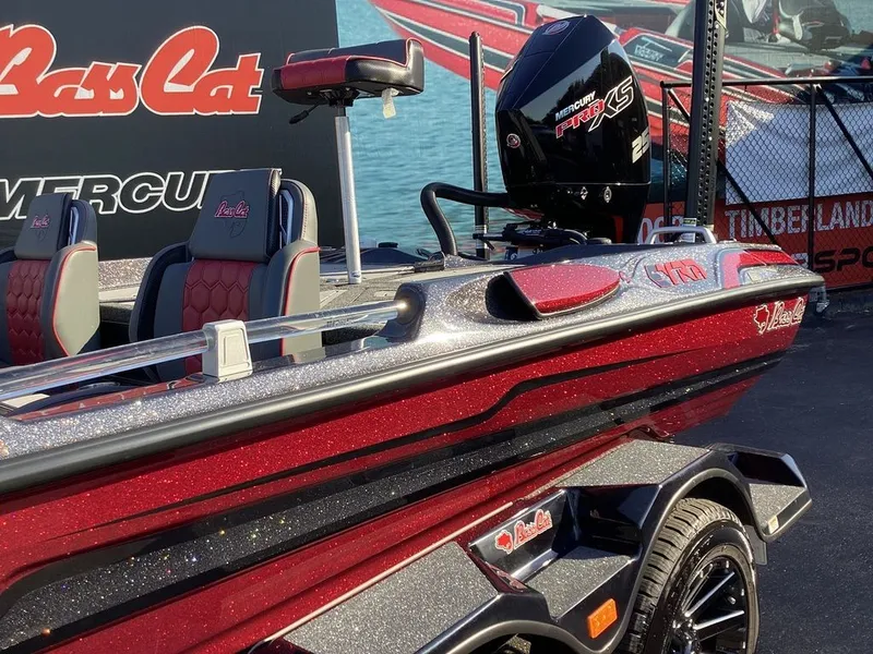 Slide: The Image of Bass Cat Eyra SP 2026 - 25