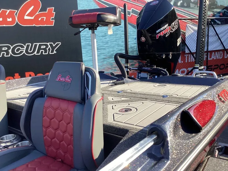 Slide: The Image of Bass Cat Eyra SP 2026 - 26