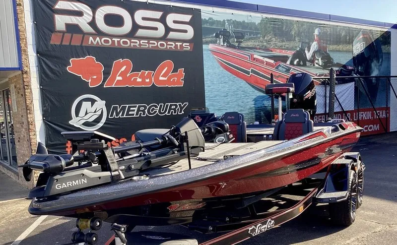 Slide: The Image of Bass Cat Eyra SP 2026 - 4