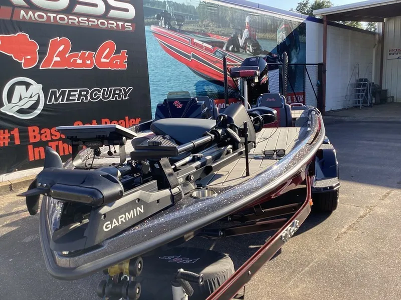 Slide: The Image of Bass Cat Eyra SP 2026 - 5