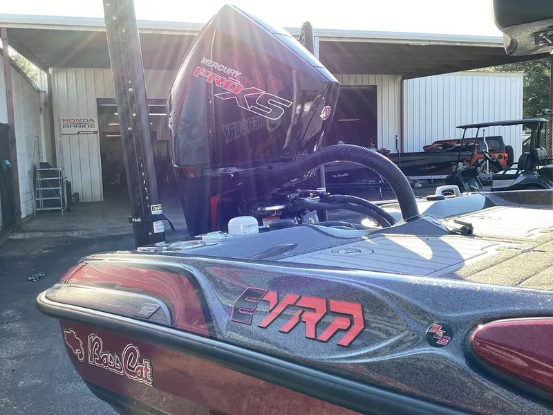 Slide: The Image of Bass Cat Eyra SP 2026 - 7