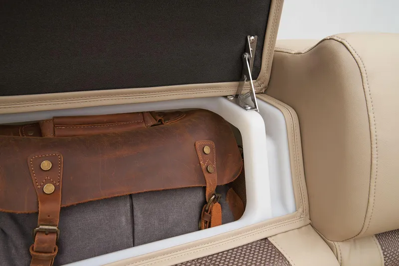 Slide: The Image of Regency 230 LE3 2025 - 42