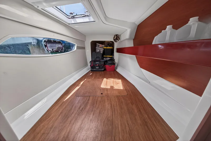 Slide: The Image of Leopard 38 2011 - 102