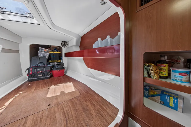 Slide: The Image of Leopard 38 2011 - 103