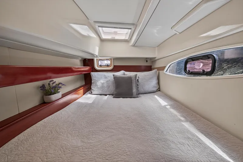 Slide: The Image of Leopard 38 2011 - 109