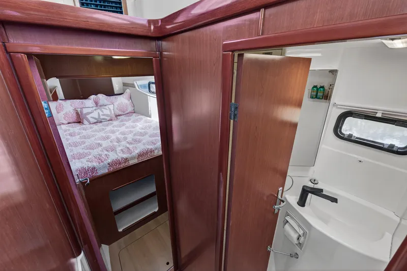 Slide: The Image of Leopard 38 2011 - 110