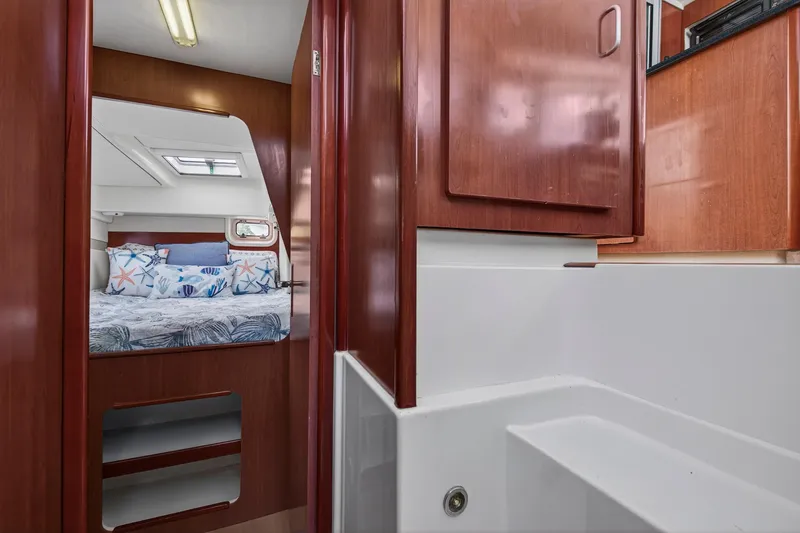 Slide: The Image of Leopard 38 2011 - 80