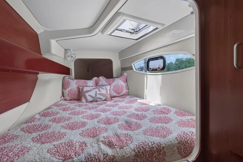 Slide: The Image of Leopard 38 2011 - 85