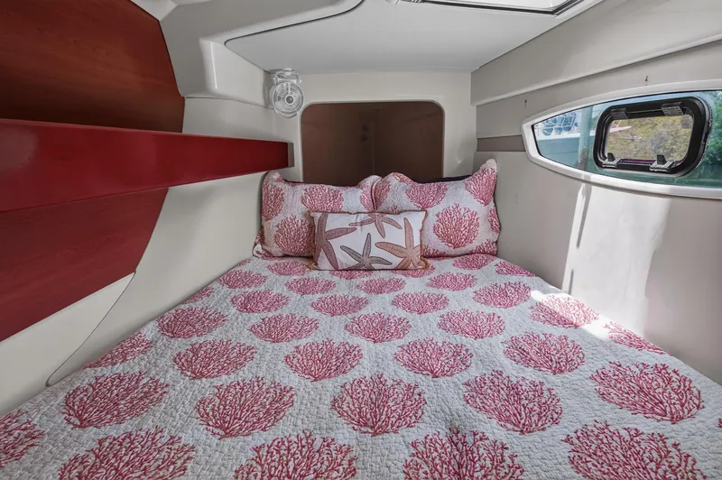 Slide: The Image of Leopard 38 2011 - 86