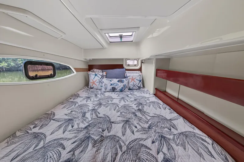 Slide: The Image of Leopard 38 2011 - 90